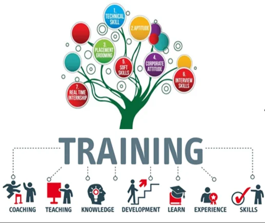 Top Corporate Training Skills Every Professional Must Master in 2025